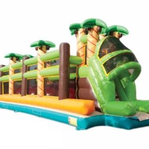 Jungle jumping balls