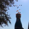Champagnefles 8 meter - Afbeelding 6