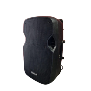 Draadloze geluidsset incl. microfoon