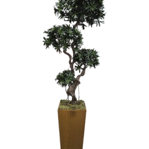 Kunstplant Podocarpus in cortens staal pot  235cm