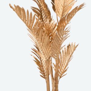 Gouden palm hoogte 100cm. in pot