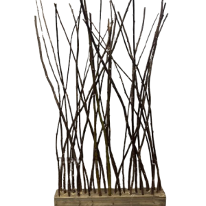 Roomdivider wilgenhout