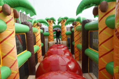 Jungle jumping balls - Image 3