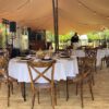 Stretchtent / Free-form tent 10x6,5 - Afbeelding 2